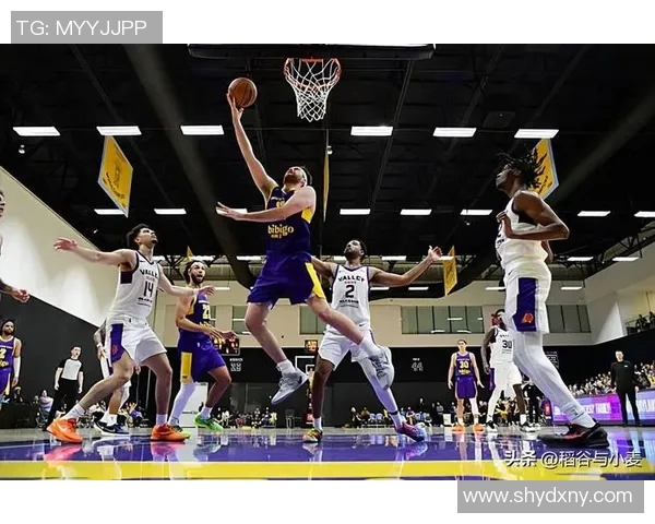 篮网与湖人精彩对决全场集锦回顾精彩瞬间与关键时刻一网打尽