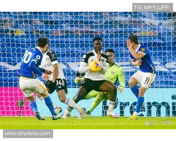 布莱顿主场迎战布莱克本期待精彩对决与进球盛宴