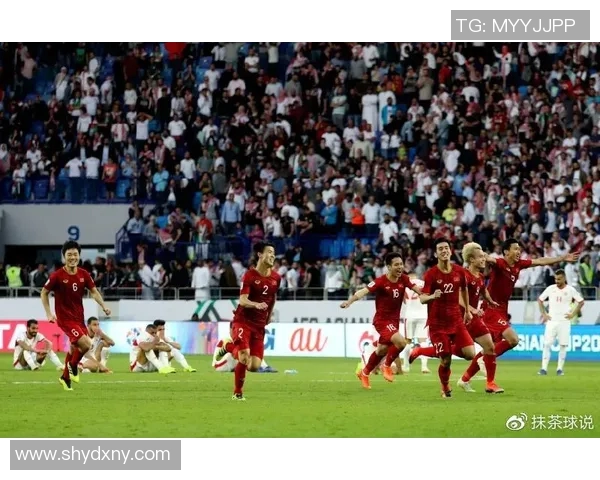 越南与马来西亚足球对决分析及赛前预测展望