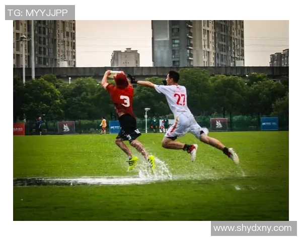 飞盘运动中的心理素质探讨：西安飞盘队的心态与表现分析MBA